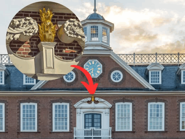 A4 prožektorius: Architektūrinių ananasų istorija Niuporte | „A4 Architecture + Planning, Inc.“