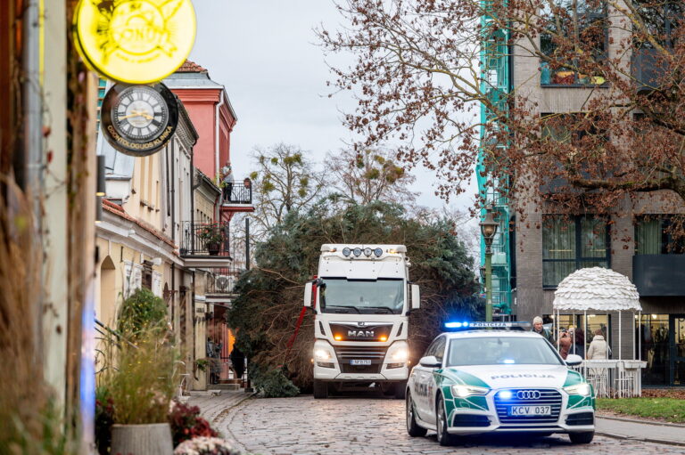 Kauno miesto savivaldybė Kalėdų eglutės pervežimas į Rotušės aikštę