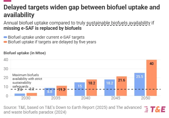 Europa neturi leisti oro linijoms sabotuoti švaraus aviacinio kuro